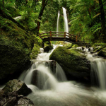 Biaya Tiket Masuk dan Panduan Wisata Air Terjun Jumog di Lereng Gunung Lawu