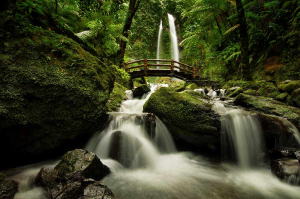 Biaya Tiket Masuk dan Panduan Wisata Air Terjun Jumog di Lereng Gunung Lawu