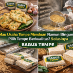 Mau Usaha Tempe Mendoan? Ini Rahasia Memilih Bahan Baku Anti Gagal!