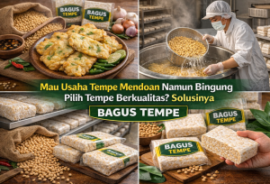 Mau Usaha Tempe Mendoan? Ini Rahasia Memilih Bahan Baku Anti Gagal!